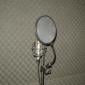Mic