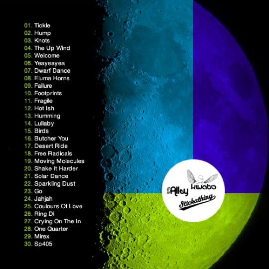 First_Spaceshit_On_The_Moon_back.jpg