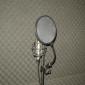 Mic Mic